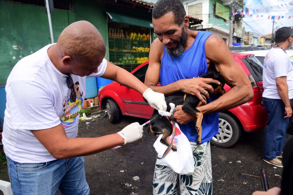 Campanha antirrábica terá vacinação volante em bairros de Salvador neste fim de semana