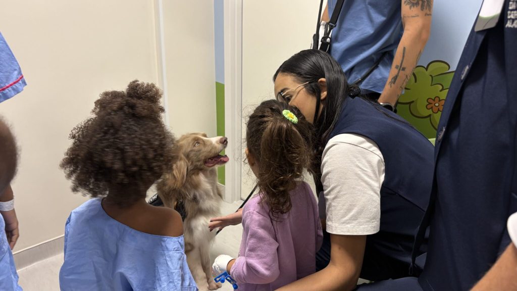 Cão terapeuta Lútche leva acolhimento e humanização à Maternidade e Hospital da Criança Deputado Alan Sanches