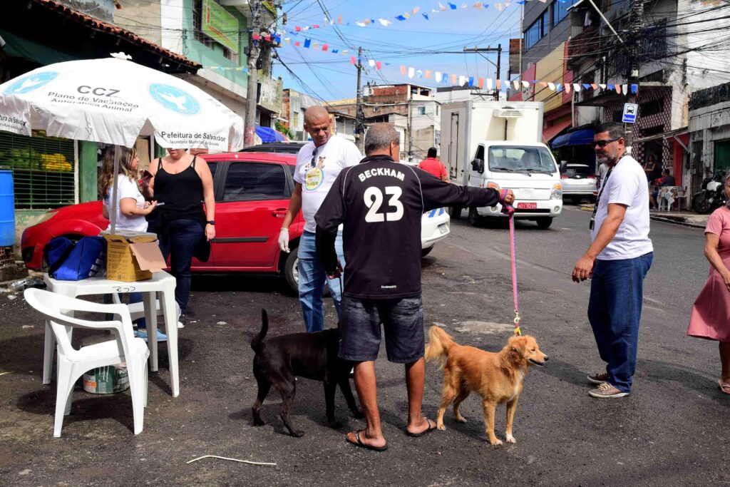 Dia D da Campanha Antirrábica leva vacinação gratuita para bairros e shoppings de Salvador neste fim de semana